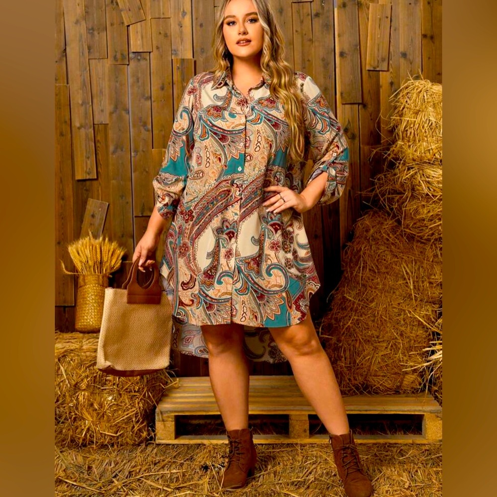 High low Paisley print dress